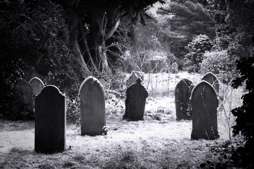 ps139-story-image